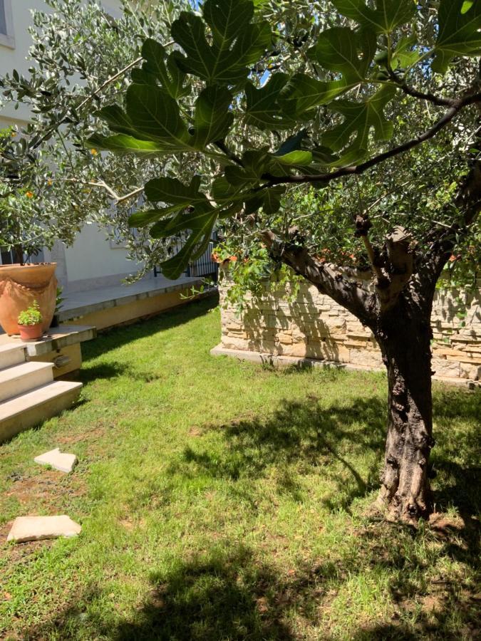 Apartment Provance Πούλα Εξωτερικό φωτογραφία